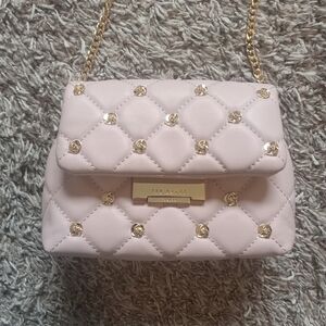 Beautiful Ted Baker London  Leather Blush Pink Crossbody Mini Purse NWT